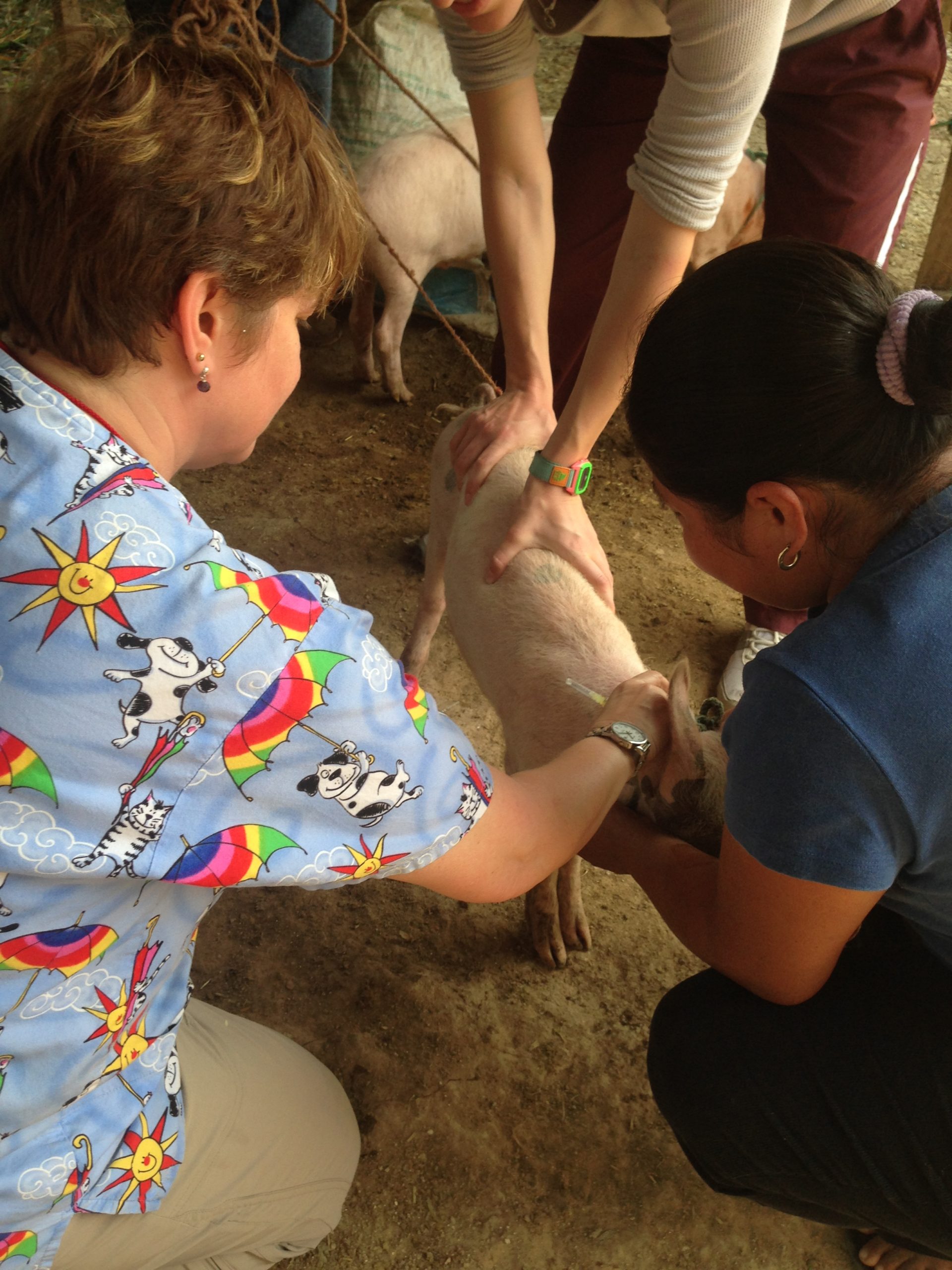 Vision Vet Program Veterinary Team – Honduras Vision Vet Mission